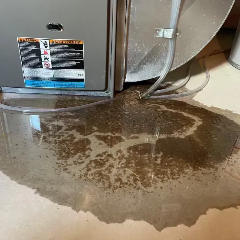 Appliance Leak Cleanup in Platte City, MO